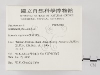 登錄號:F0024500藏品圖，第2張