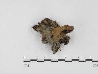 登錄號:F0024500藏品圖，第3張