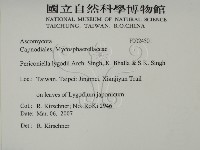 登錄號:F0024501藏品圖，第2張