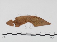登錄號:F0024502藏品圖，第1張