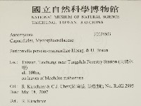 登錄號:F0024503藏品圖，第2張