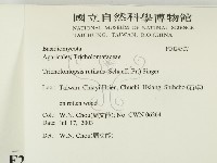 登錄號:F0024507藏品圖，第2張