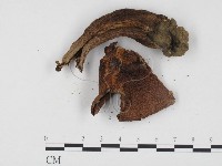 登錄號:F0024507藏品圖，第3張