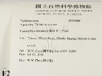 登錄號:F0024508藏品圖，第2張