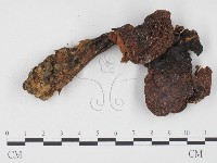 登錄號:F0024508藏品圖，第3張