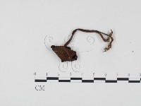 登錄號:F0024510藏品圖，第3張