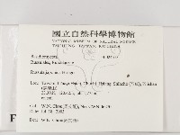 登錄號:F0024513藏品圖，第2張