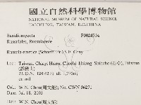 登錄號:F0024514藏品圖，第2張