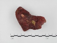 登錄號:F0024514藏品圖，第1張