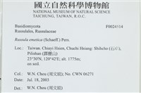 登錄號:F0024514藏品圖，第4張