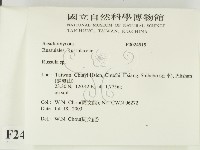 紅菇屬藏品圖，第2張