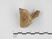 登錄號:F0024517藏品圖，第1張