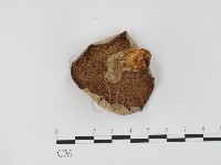 登錄號:F0024517藏品圖，第3張