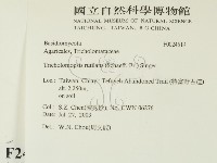 登錄號:F0024519藏品圖，第2張