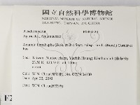 登錄號:F0024523藏品圖，第2張