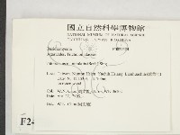 登錄號:F0024524藏品圖，第2張