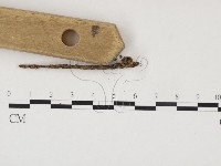 登錄號:F0024525藏品圖，第1張