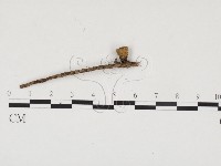 登錄號:F0024525藏品圖，第3張