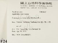 登錄號:F0024527藏品圖，第2張