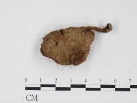 登錄號:F0024527藏品圖，第1張