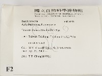 登錄號:F0024528藏品圖，第2張