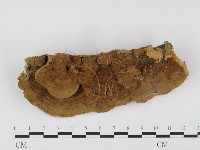 登錄號:F0024528藏品圖，第1張