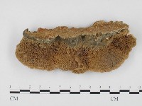 登錄號:F0024528藏品圖，第3張