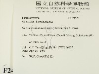 登錄號:F0024529藏品圖，第2張