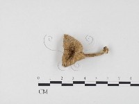 登錄號:F0024533藏品圖，第1張