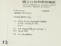 登錄號:F0024534藏品圖，第2張