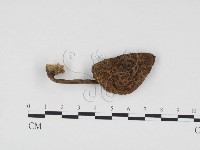登錄號:F0024534藏品圖，第1張