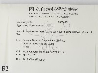 登錄號:F0024535藏品圖，第2張