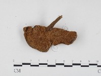 登錄號:F0024537藏品圖，第1張