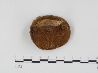 登錄號:F0024538藏品圖，第1張