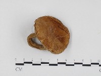 登錄號:F0024538藏品圖，第3張