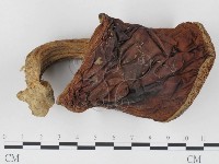 登錄號:F0024539藏品圖，第1張