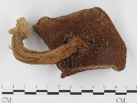 登錄號:F0024539藏品圖，第3張