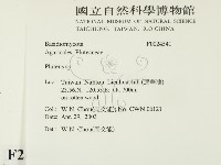 登錄號:F0024541藏品圖，第2張