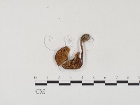 登錄號:F0024541藏品圖，第3張