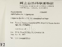 登錄號:F0024543藏品圖，第2張
