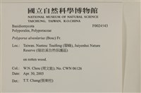 登錄號:F0024543藏品圖，第4張