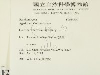 登錄號:F0024544藏品圖，第2張