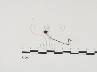 登錄號:F0024544藏品圖，第3張