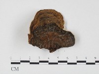 登錄號:F0024546藏品圖，第1張