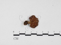登錄號:F0024553藏品圖，第1張