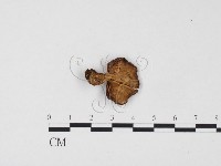 登錄號:F0024553藏品圖，第3張