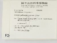 相鄰小孔菌藏品圖，第2張