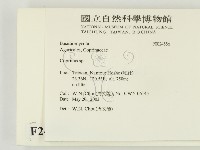 鬼傘屬藏品圖，第2張