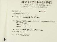 登錄號:F0024557藏品圖，第2張