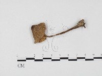 登錄號:F0024557藏品圖，第1張